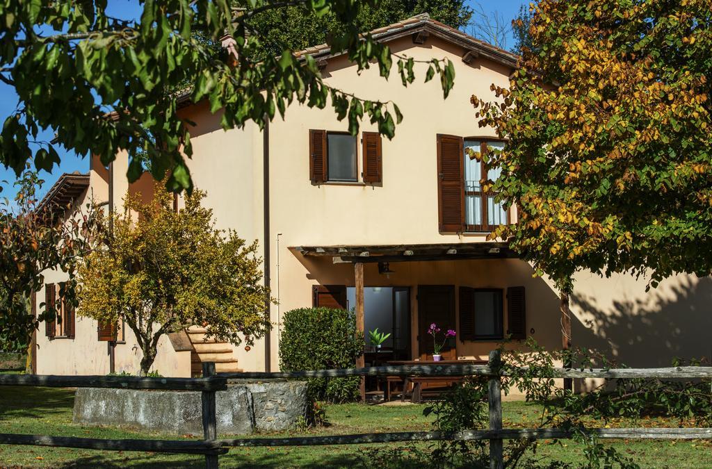 Agriturismo Olmo Bello Capodimonte Dış mekan fotoğraf